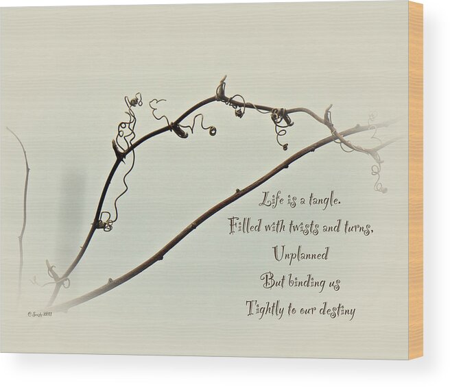 Bramble Wood Print featuring the photograph Life is a Tangle by Carol Senske