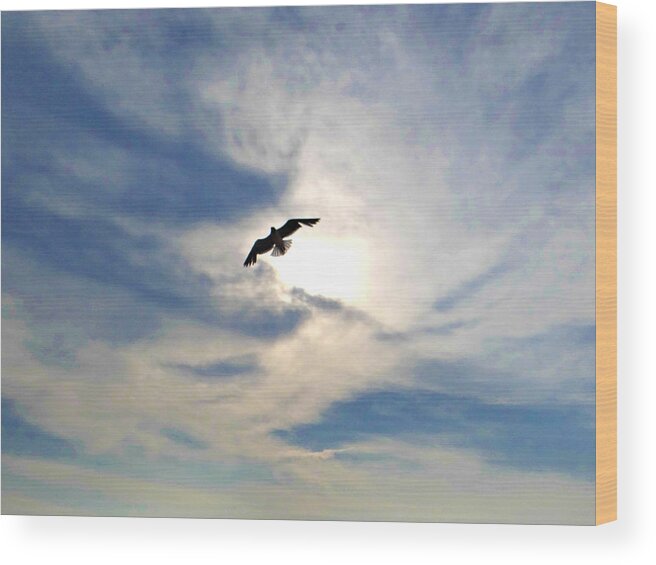Seagull Wood Print featuring the photograph Lit From Above by Dark Whimsy