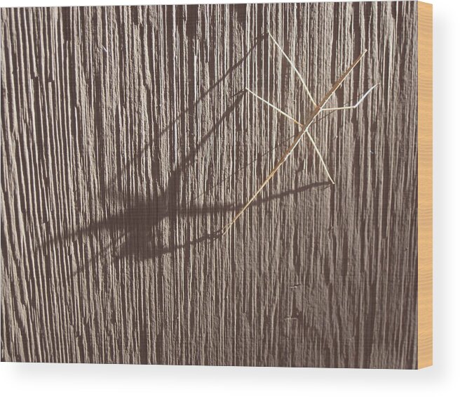 Shadow Wood Print featuring the photograph Long Shadow by Sandy Tracey