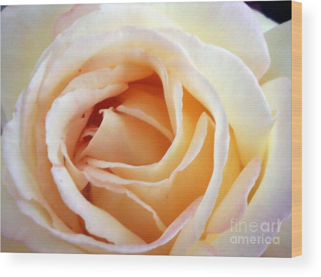 Roses Wood Print featuring the photograph Love unfurling by Vonda Lawson-Rosa