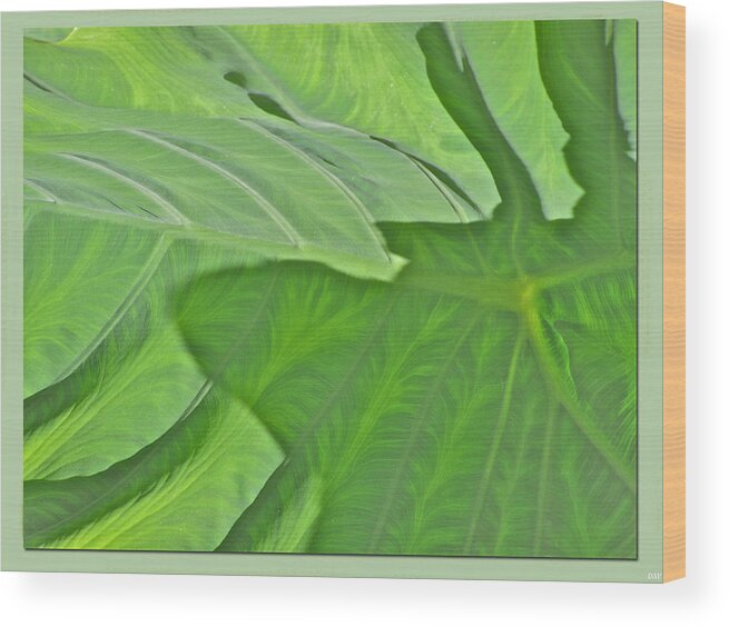 Leaf Texture Art Wood Print featuring the photograph Macro Leaf Structure by Debra   Vatalaro