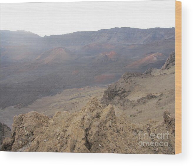 Haleakala Wood Print featuring the photograph Mars on Maui by Terry Hunt
