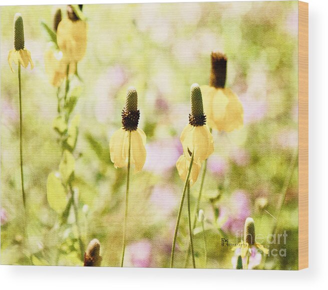 Flowers Wood Print featuring the photograph Mexican Hat in Yellow by Pam Holdsworth