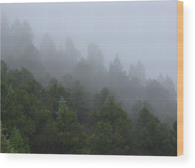 Mountain Wood Print featuring the photograph Misty Mountain Morning by Charles and Melisa Morrison