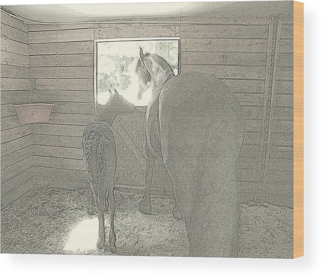 Friesian Horse Wood Print featuring the photograph Mom can we go out by Kim Galluzzo