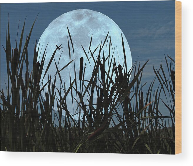 Moon Wood Print featuring the photograph Moon and Marsh by Deborah Smith