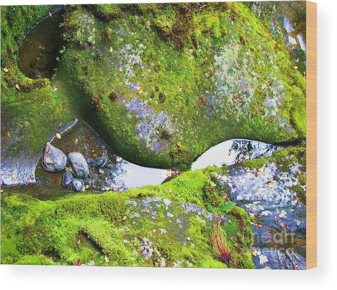 Moss Wood Print featuring the photograph Mossy Rocks and Water Reflections by Michele Penner