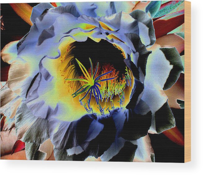 Bloom Wood Print featuring the photograph Mysterious Night Bloom by Patricia Haynes