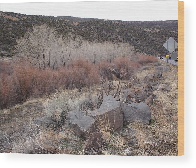 New Mexico Wood Print featuring the photograph New Mexico Lanscape by Joseph Mora