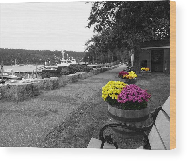 Flowers Wood Print featuring the photograph Northeast Harbor by Kelly Reber