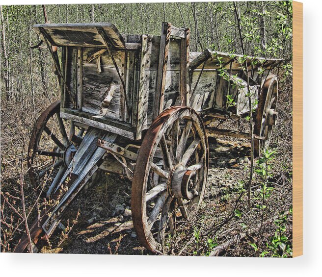 Wagon Wood Print featuring the photograph Old Wagon by Fred Denner