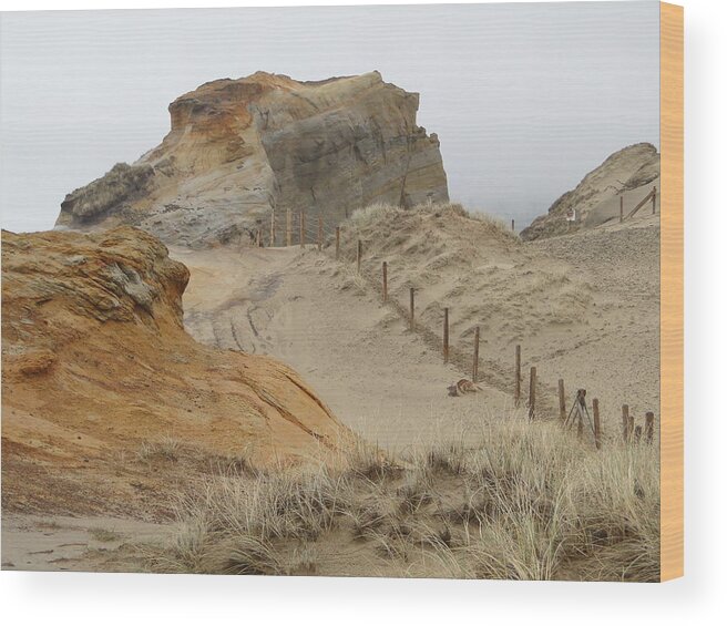 Sand Dunes Wood Print featuring the photograph Oregon Sand Dunes by Athena Mckinzie