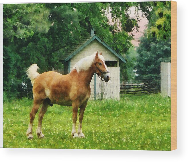 Horse Wood Print featuring the photograph Palomino in Pasture by Susan Savad