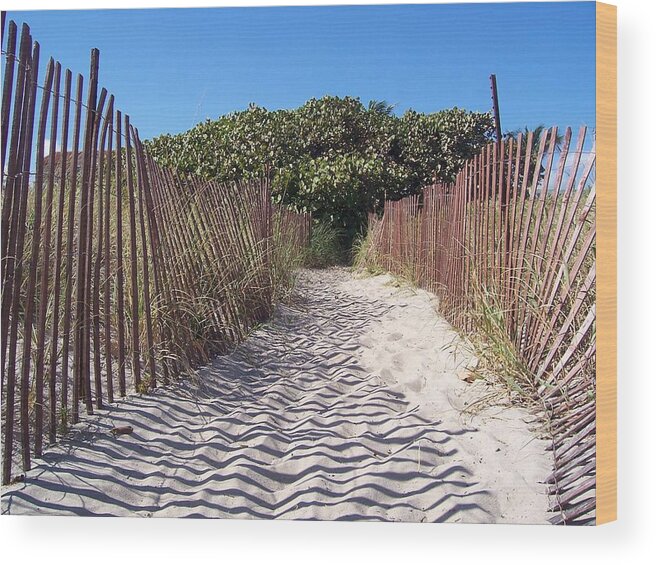 Beach Wood Print featuring the photograph Path to Pleasure by Sheila Silverstein