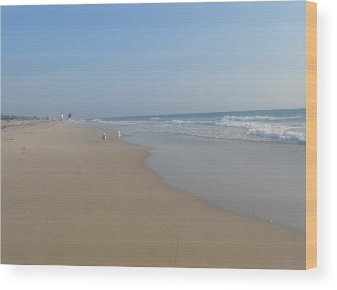 Beach Wood Print featuring the photograph Personal Space by Sheila Silverstein