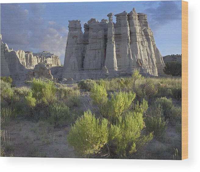 00176884 Wood Print featuring the photograph Plaza Blanca Near Abiquiu New Mexico by Tim Fitzharris