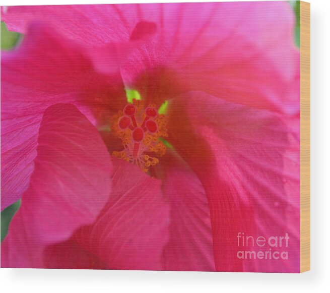 Botanical Wood Print featuring the photograph Protection from the Sun by Eva Thomas