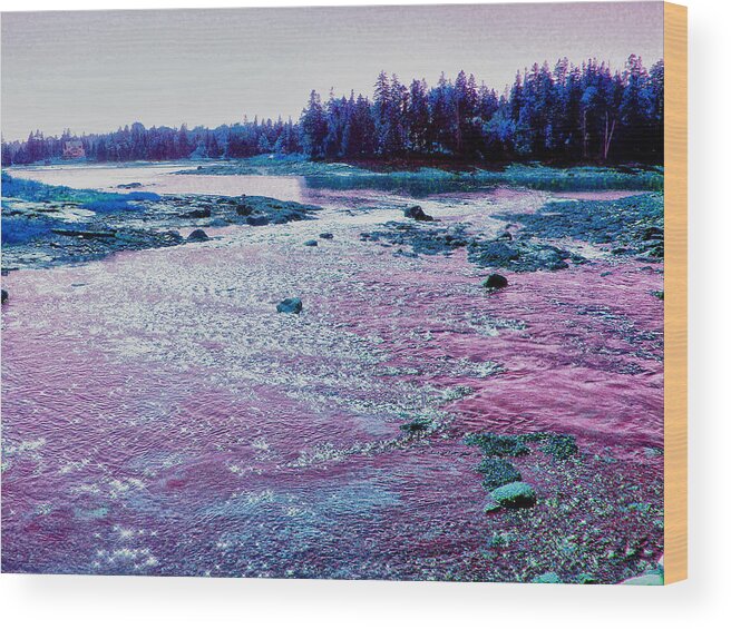 Green Wood Print featuring the photograph Purple Haze by Kelly Reber