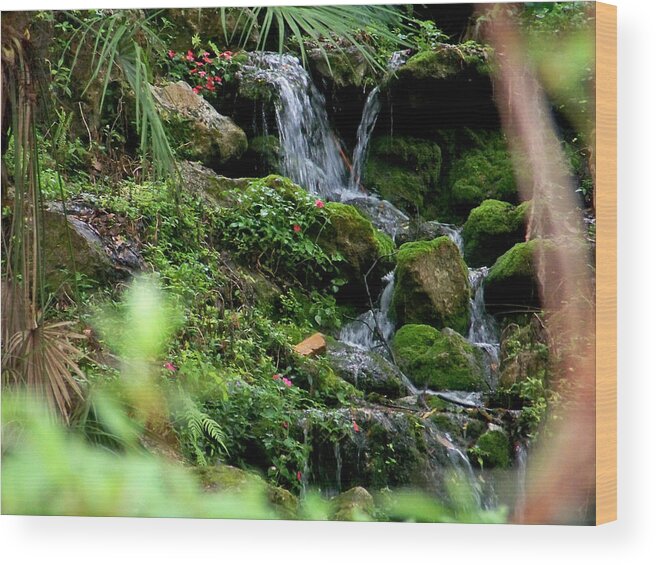 Nature Wood Print featuring the photograph Rainbow Springs Waterfall by Judy Wanamaker