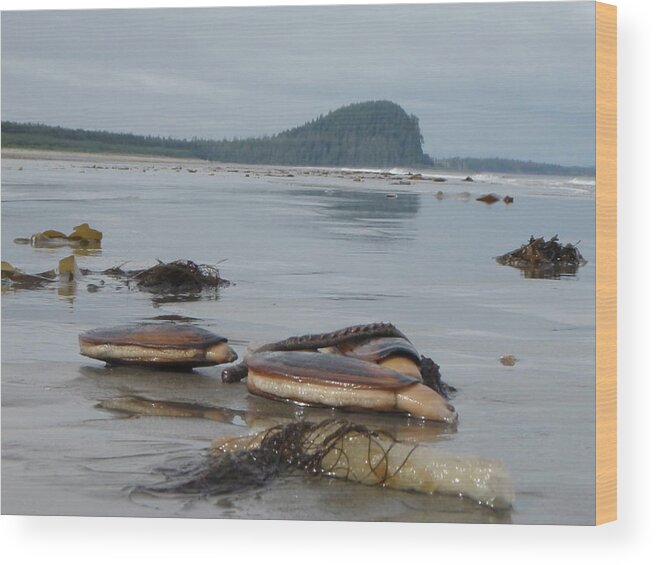 Shellfish Wood Print featuring the photograph Razor Clams by Garry Otto