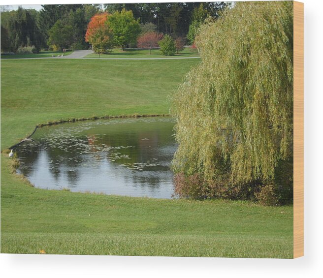 Landscape Wood Print featuring the photograph Reflecting Pond by Val Oconnor