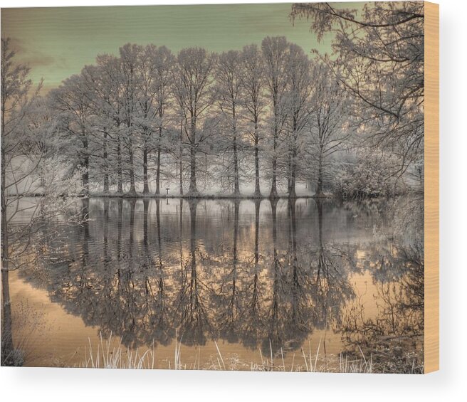 Landscape Wood Print featuring the photograph Reflections by Jane Linders