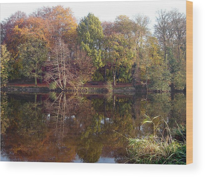 River Wood Print featuring the photograph Reflections of Autumn by Rod Johnson