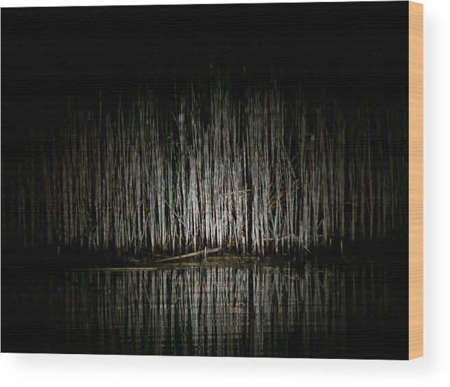 Dark Wood Print featuring the photograph Ripples Reflected by Azthet Photography
