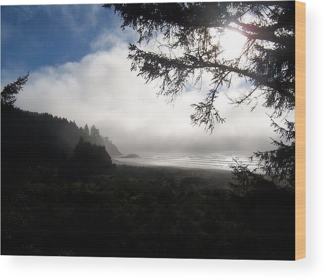 Beach Wood Print featuring the photograph Rolling Fog by Peter Mooyman