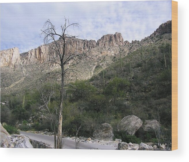 Southwest Mountains Canyons Wood Print featuring the photograph Sabino Canyon AZ by Jayne Kerr 