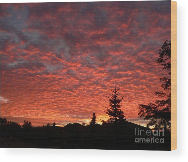 Red Sky Wood Print featuring the photograph Sailor's Delight by Laurel Best