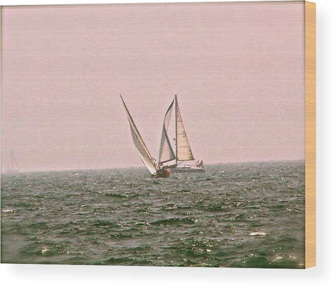  Wood Print featuring the photograph Sails by Amber Hennessey