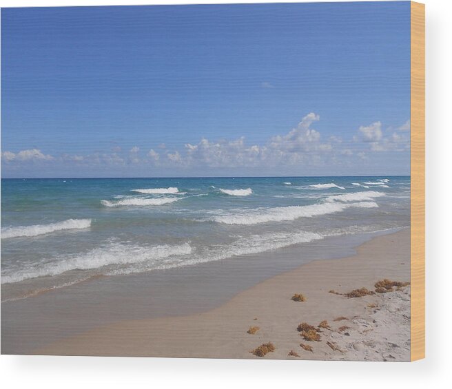 Nature Wood Print featuring the photograph Sea Dreams by Sheila Silverstein