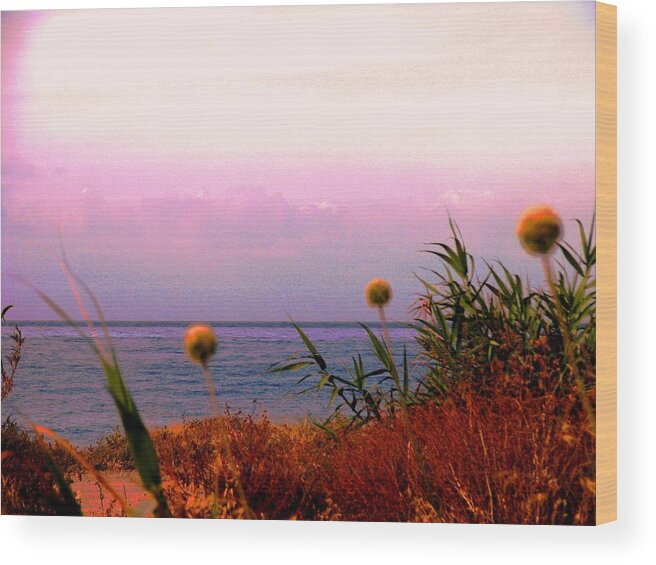 Cyprus Wood Print featuring the photograph Seascape Cyprus by Anita Dale Livaditis