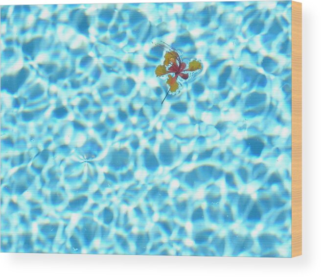 Flowers In Pool Wood Print featuring the photograph Set Adrift 2 by Kip Vidrine