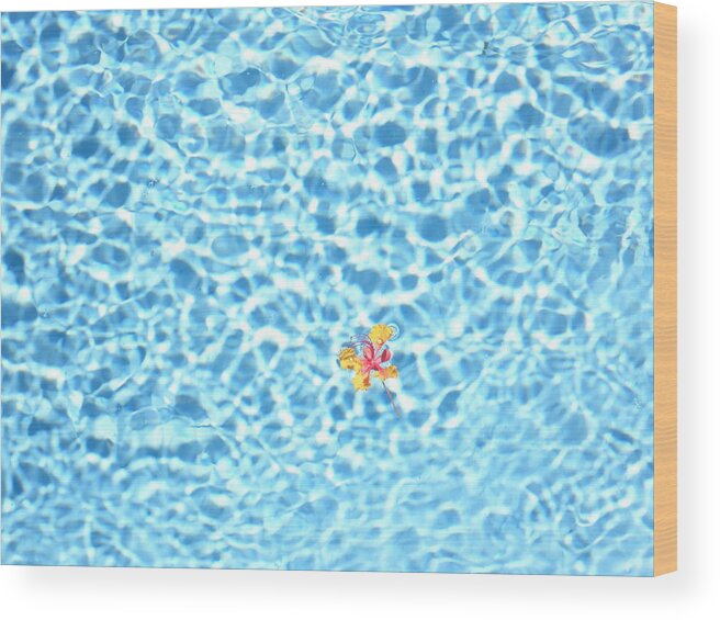 Flowers In Pool Wood Print featuring the photograph Set Adrift 3 by Kip Vidrine