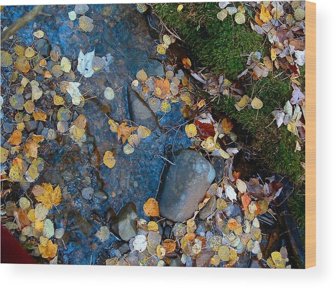 Creek Flowing Wood Print featuring the photograph SHORELINES - Campbell Creek by William OBrien