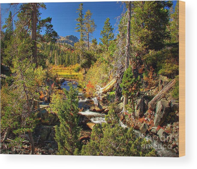 Sierra Nevada Fall Beauty Wood Print featuring the photograph Sierra Nevada Fall Beauty at Lily Lake by Scott McGuire