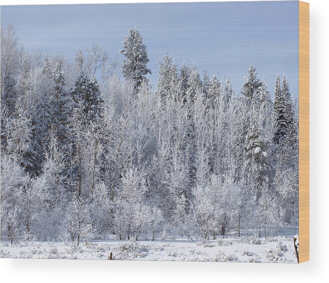 Winter Wood Print featuring the photograph Snows Hit Again In Early Spring by DeeLon Merritt