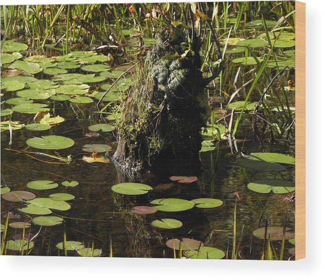 Stump Wood Print featuring the photograph Surrounded By Lily Pads by Kim Galluzzo Wozniak