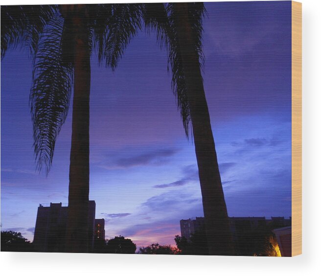 Sunset Wood Print featuring the photograph Symphony by Sheila Silverstein