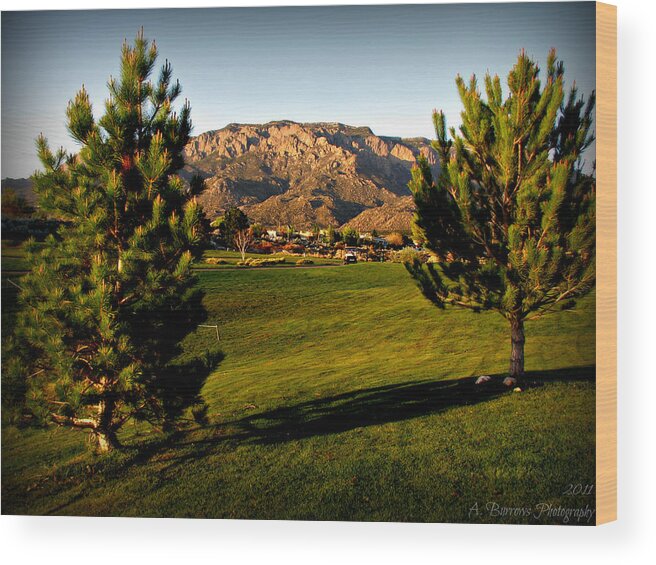 Tanoan Country Club Wood Print featuring the photograph Tanoan Mountain Views by Aaron Burrows