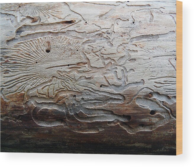 The Amazing Design Wood Print featuring the photograph The Amazing Design 1 by Cyryn Fyrcyd