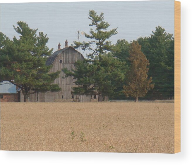 Barn Wood Print featuring the photograph The Farm by Bonfire Photography