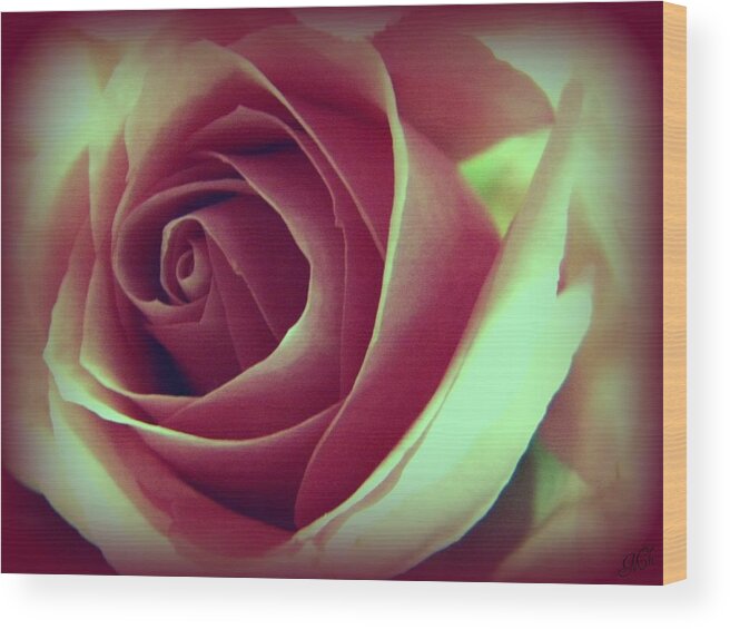 Rose Wood Print featuring the photograph The Rose by Michelle Frizzell-Thompson