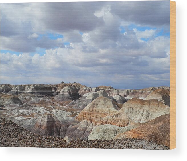 Sky Wood Print featuring the photograph The Sky Clears By Blue Mesa by Lynda Lehmann