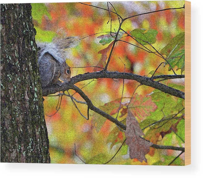 Squirrel Wood Print featuring the photograph The Squirrel Umbrella by Paul Mashburn