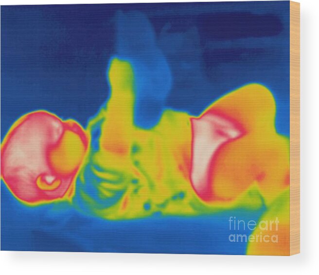 Thermogram Wood Print featuring the photograph Thermogram Of A Baby by Ted Kinsman
