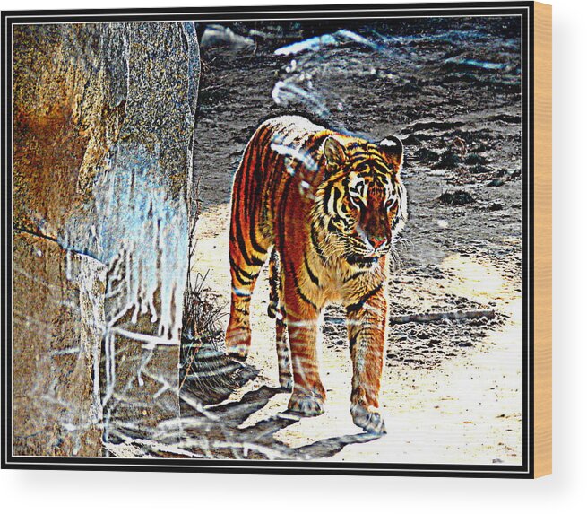 Animal Photographs Wood Print featuring the photograph Tiger-2 by Anand Swaroop Manchiraju