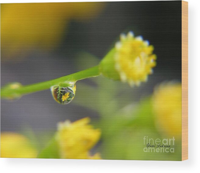 Yellow Wood Print featuring the photograph Tiney Drop by Yumi Johnson